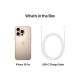 Apple iPhone 16 Pro 5G (8GB/128GB) Desert Titanium (OPEN BOX)