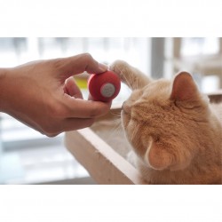 Παιχνίδι Γάτας Έξυπνη Mπάλα Cheerble M1 Interactive Cat Ball (red)
